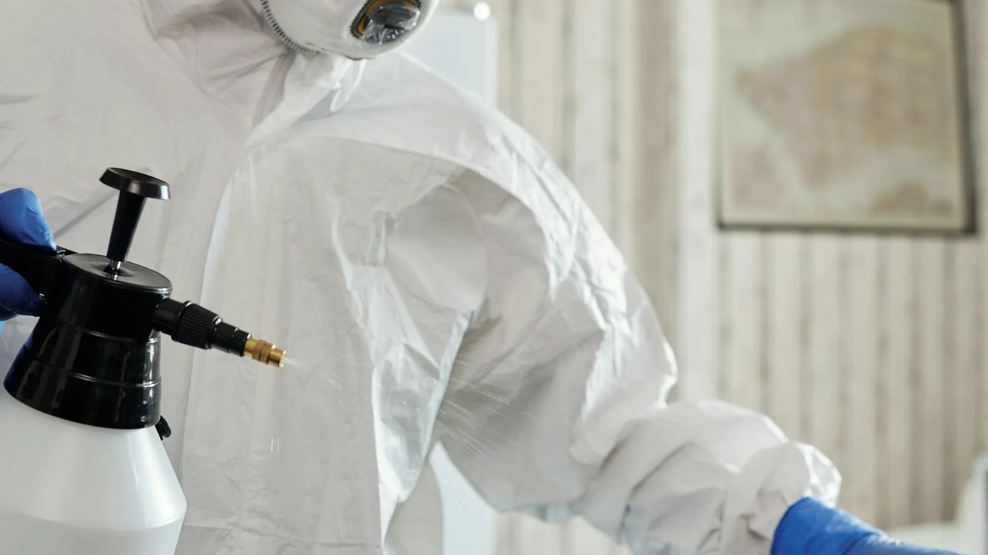 Mold Inspection for South Florida Homeowners